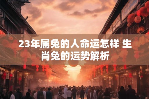 23年属兔的人命运怎样 生肖兔的运势解析