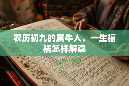 农历初九的属牛人，一生福祸怎样解读