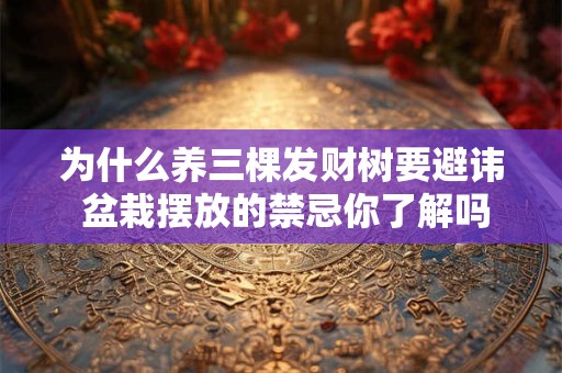 为什么养三棵发财树要避讳 盆栽摆放的禁忌你了解吗 为什么养三棵发财树要避讳 盆栽摆放的禁忌你了解吗