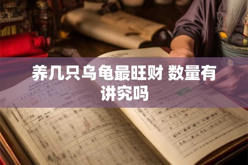 养几只乌龟最旺财 数量有讲究吗