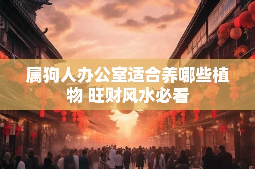 属狗人办公室适合养哪些植物 旺财风水必看