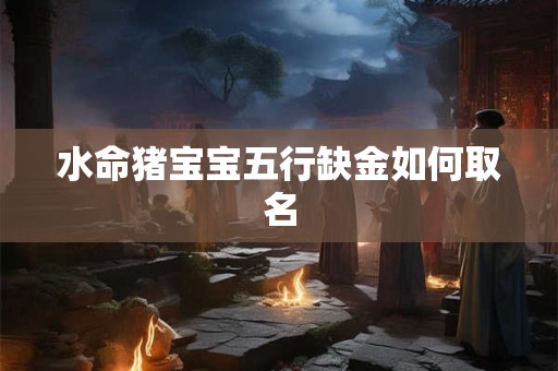 水命猪宝宝五行缺金如何取名
