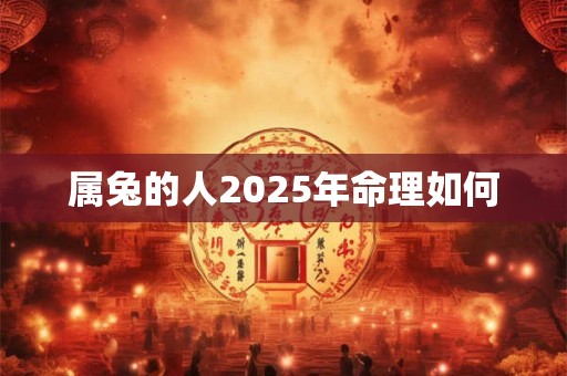 属兔的人2025年命理如何