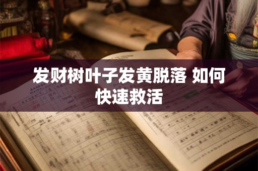 发财树叶子发黄脱落 如何快速救活
