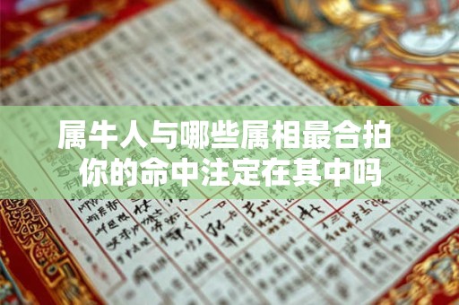 属牛人与哪些属相最合拍 你的命中注定在其中吗