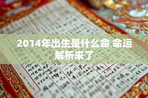 2014年出生是什么命 命运解析来了