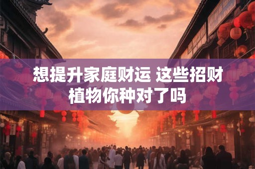 想提升家庭财运 这些招财植物你种对了吗