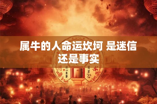 属牛的人命运坎坷 是迷信还是事实