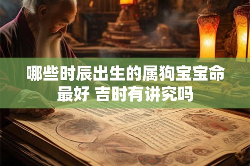哪些时辰出生的属狗宝宝命最好 吉时有讲究吗