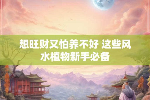 想旺财又怕养不好 这些风水植物新手必备