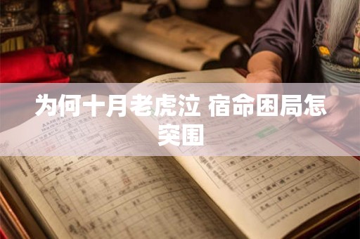 为何十月老虎泣 宿命困局怎突围