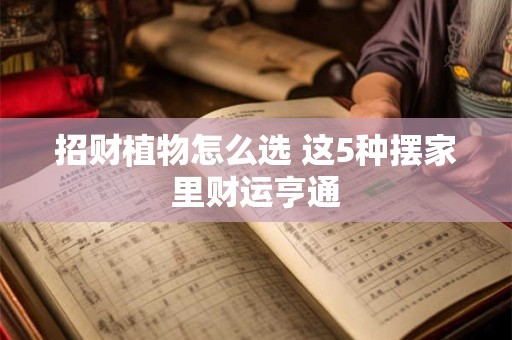 详细阅读:招财植物怎么选 这5种摆家里财运亨通 招财植物怎么选 这5种摆家里财运亨通