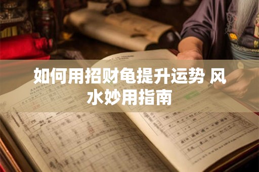 如何用招财龟提升运势 风水妙用指南
