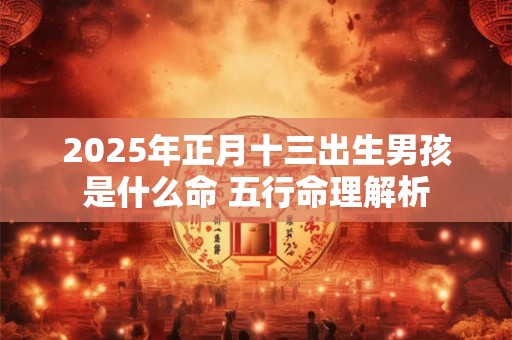 2025年正月十三出生男孩是什么命 五行命理解析