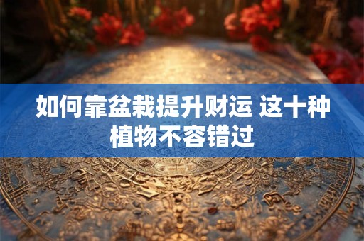 如何靠盆栽提升财运 这十种植物不容错过
