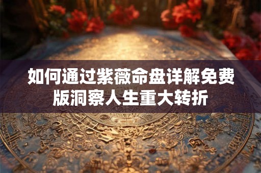 如何通过紫薇命盘详解免费版洞察人生重大转折