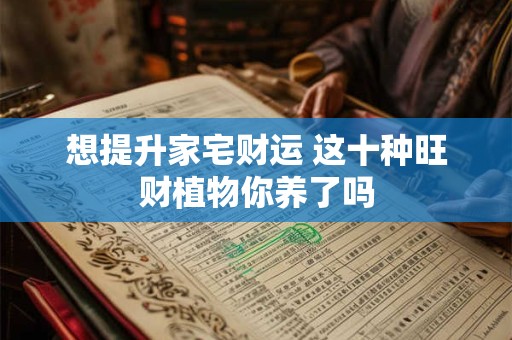想提升家宅财运 这十种旺财植物你养了吗