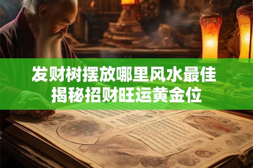 发财树摆放哪里风水最佳 揭秘招财旺运黄金位