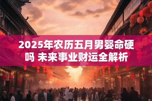 2025年农历五月男婴命硬吗 未来事业财运全解析