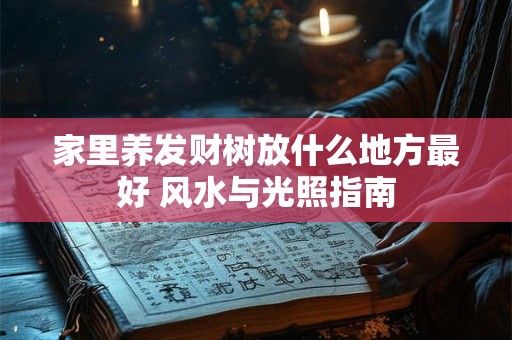 家里养发财树放什么地方最好 风水与光照指南