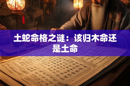 土蛇命格之谜：该归木命还是土命