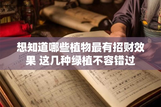 想知道哪些植物最有招财效果 这几种绿植不容错过
