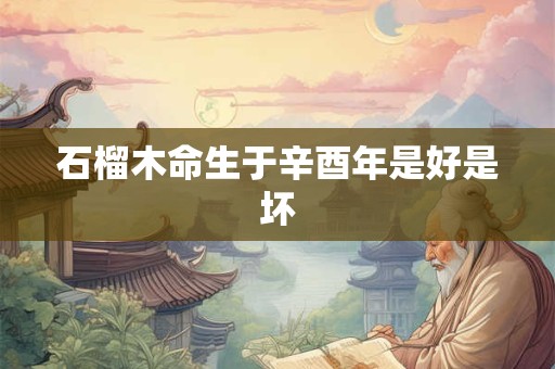石榴木命生于辛酉年是好是坏