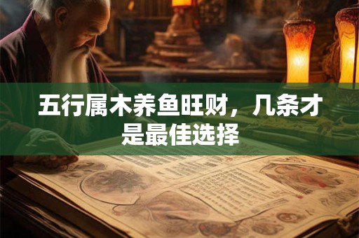 五行属木养鱼旺财，几条才是最佳选择