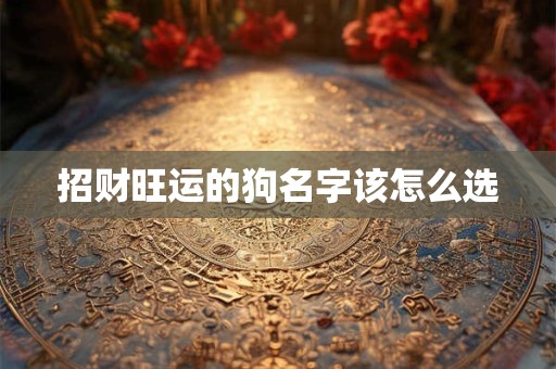 招财旺运的狗名字该怎么选