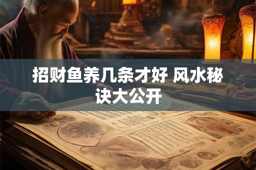 招财鱼养几条才好 风水秘诀大公开