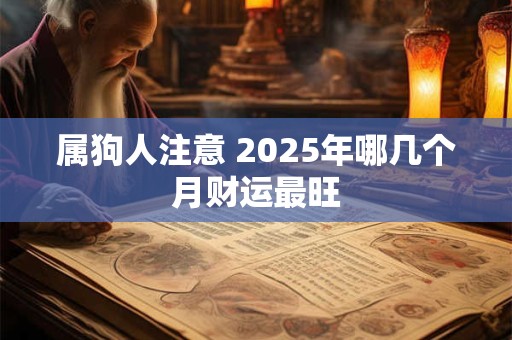 属狗人注意 2025年哪几个月财运最旺