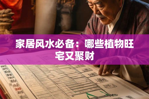 家居风水必备：哪些植物旺宅又聚财
