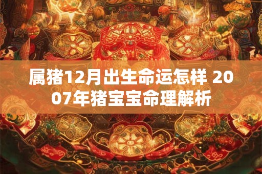 属猪12月出生命运怎样 2007年猪宝宝命理解析