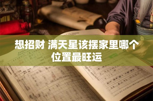 想招财 满天星该摆家里哪个位置最旺运