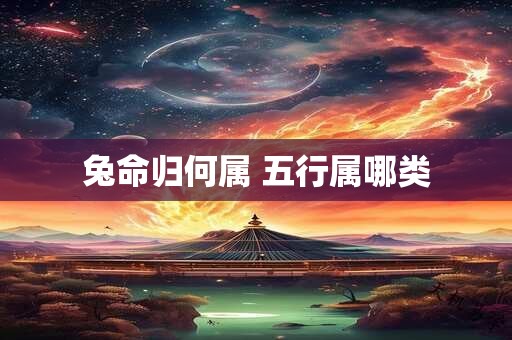 兔命归何属 五行属哪类