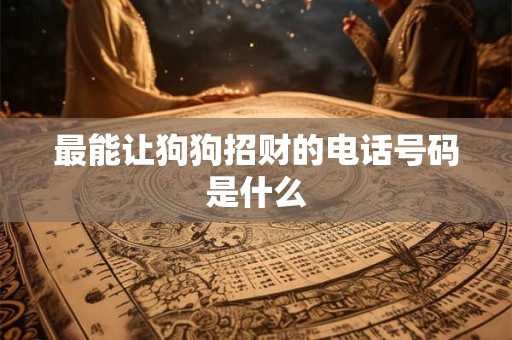 最能让狗狗招财的电话号码是什么