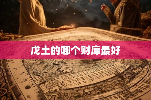 戊土的哪个财库最好