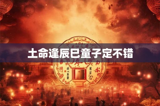 土命逢辰巳童子定不错