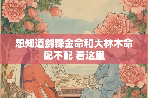 想知道剑锋金命和大林木命配不配 看这里