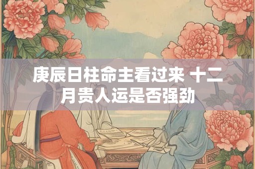 庚辰日柱命主看过来 十二月贵人运是否强劲