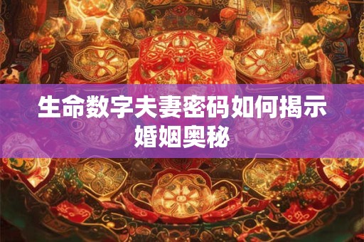 生命数字夫妻密码如何揭示婚姻奥秘