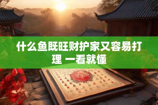 什么鱼既旺财护家又容易打理 一看就懂