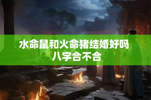 水命鼠和火命猪结婚好吗  八字合不合