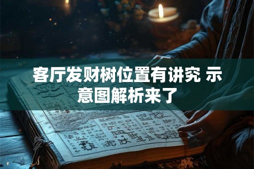 详细阅读:客厅发财树位置有讲究 示意图解析来了 客厅发财树位置有讲究 示意图解析来了