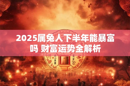 2025属兔人下半年能暴富吗 财富运势全解析