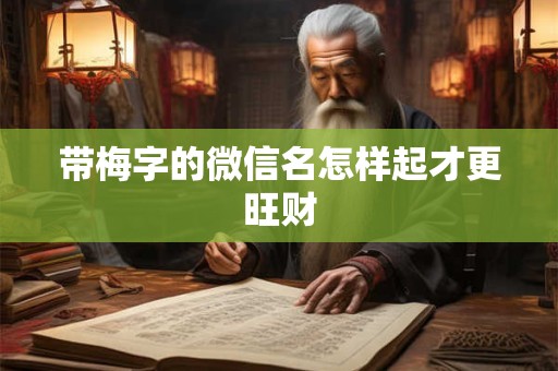 带梅字的微信名怎样起才更旺财
