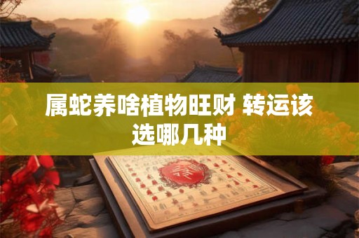 属蛇养啥植物旺财 转运该选哪几种