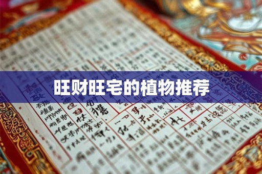 旺财旺宅的植物推荐