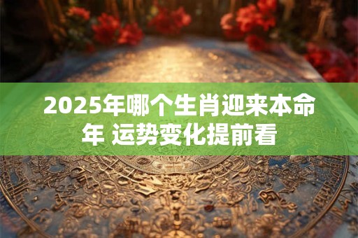 2025年哪个生肖迎来本命年 运势变化提前看