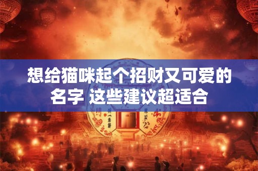 想给猫咪起个招财又可爱的名字 这些建议超适合